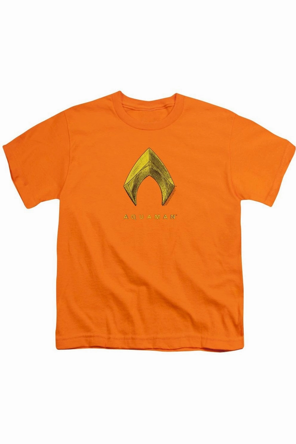 Aquaman Movie Aquaman Logo Short Sleeve Youth Tee / T-Shirt graphic tees for boys, polo shirts boys