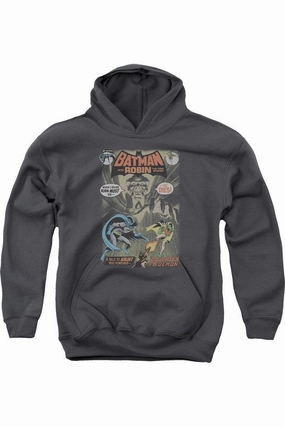 Batman #232 Cover Youth Pull Over Hoodie / Hooded Sweatshirt graphic tees for boys, polo shirts boys