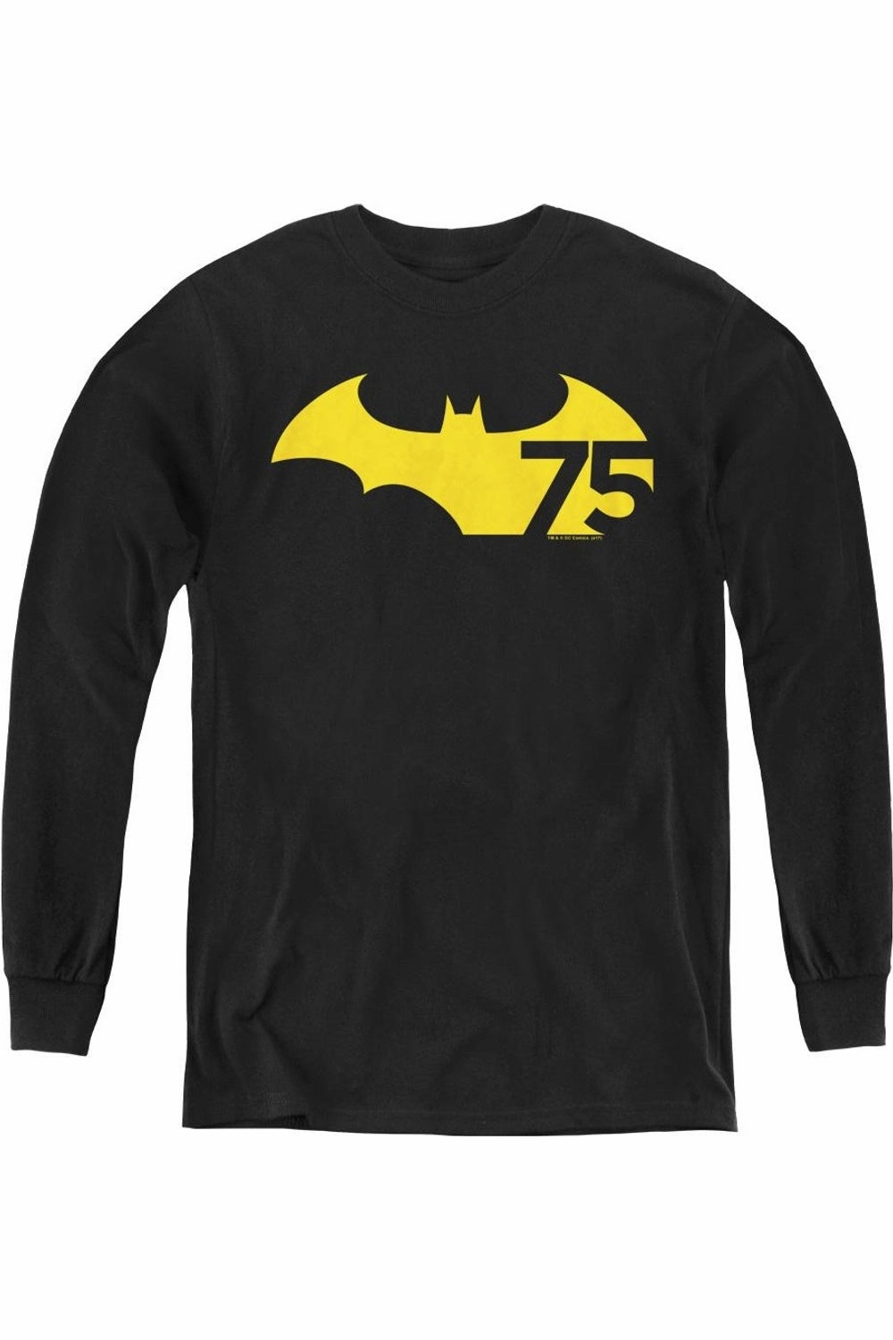 Batman 75 Logo 2 Youth Long Sleeve Tee / T-Shirt graphic tees for boys, polo shirts boys