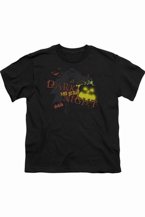 Batman Dark And Scary Night Short Sleeve Youth Tee / T-Shirt graphic tees for boys, polo shirts boys