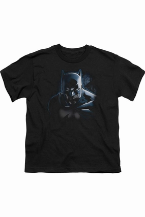 Batman Dont Mess With The Bat Short Sleeve Youth Tee / T-Shirt graphic tees for boys, polo shirts boys