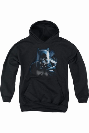 Batman Dont Mess With The Bat Youth Pull Over Hoodie / Hooded Sweatshirt graphic tees for boys, polo shirts boys