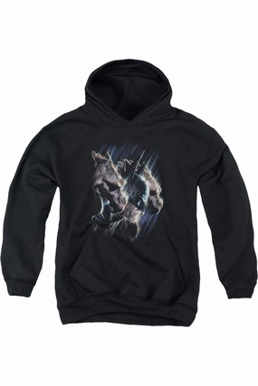 Batman Gargoyles Youth Pull Over Hoodie / Hooded Sweatshirt graphic tees for boys, polo shirts boys