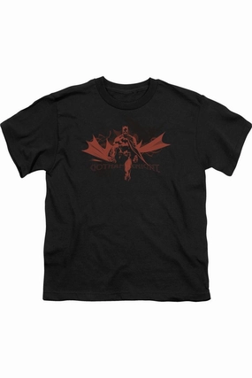 Batman Gotham Knight Short Sleeve Juvenile Tee / T-Shirt graphic tees for boys, polo shirts boys