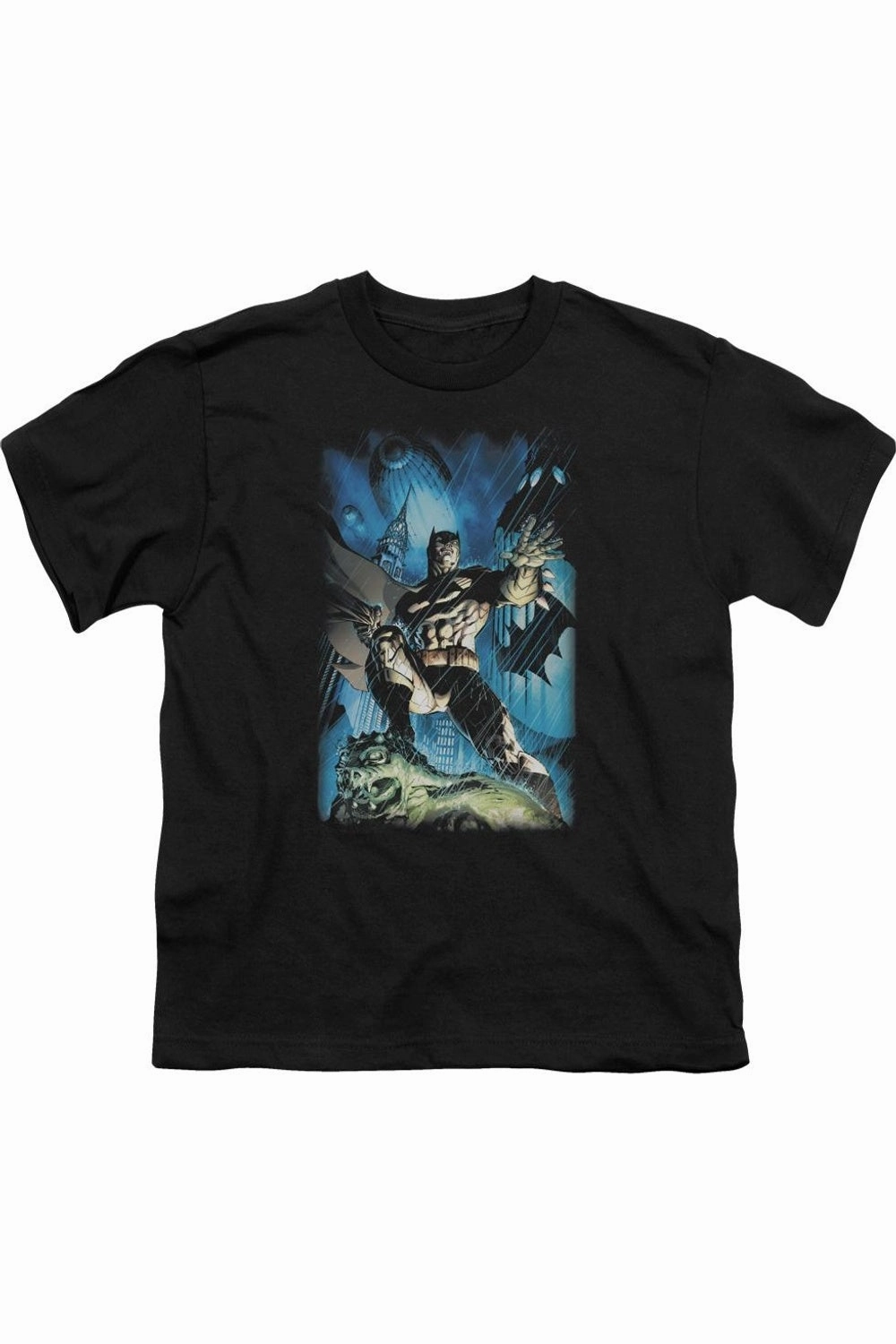 Batman Stormy Dark Knight Short Sleeve Youth Tee / T-Shirt graphic tees for boys, polo shirts boys