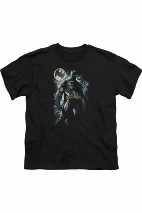 Batman The Knight Short Sleeve Juvenile Tee / T-Shirt graphic tees for boys, polo shirts boys