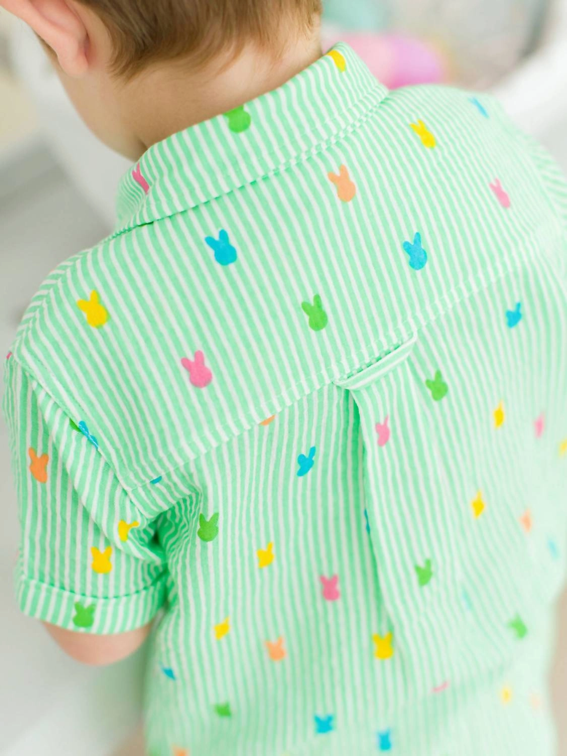 Boy's Bunny Stripe Short Sleeve Button Down Shirt In Green Boys Henley T Shirt