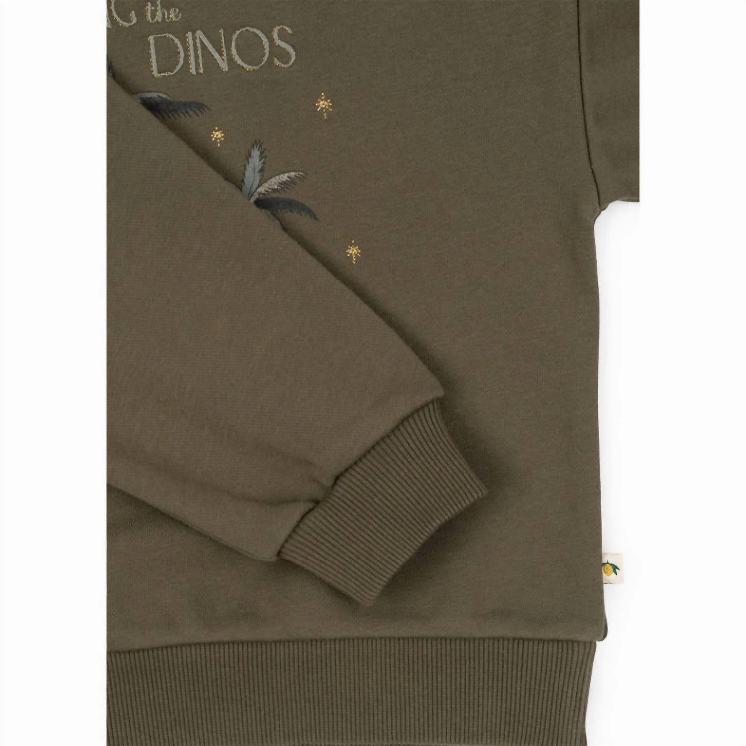 Boy's Lou Dino Sweatshirt In Green Boys Henley T Shirt