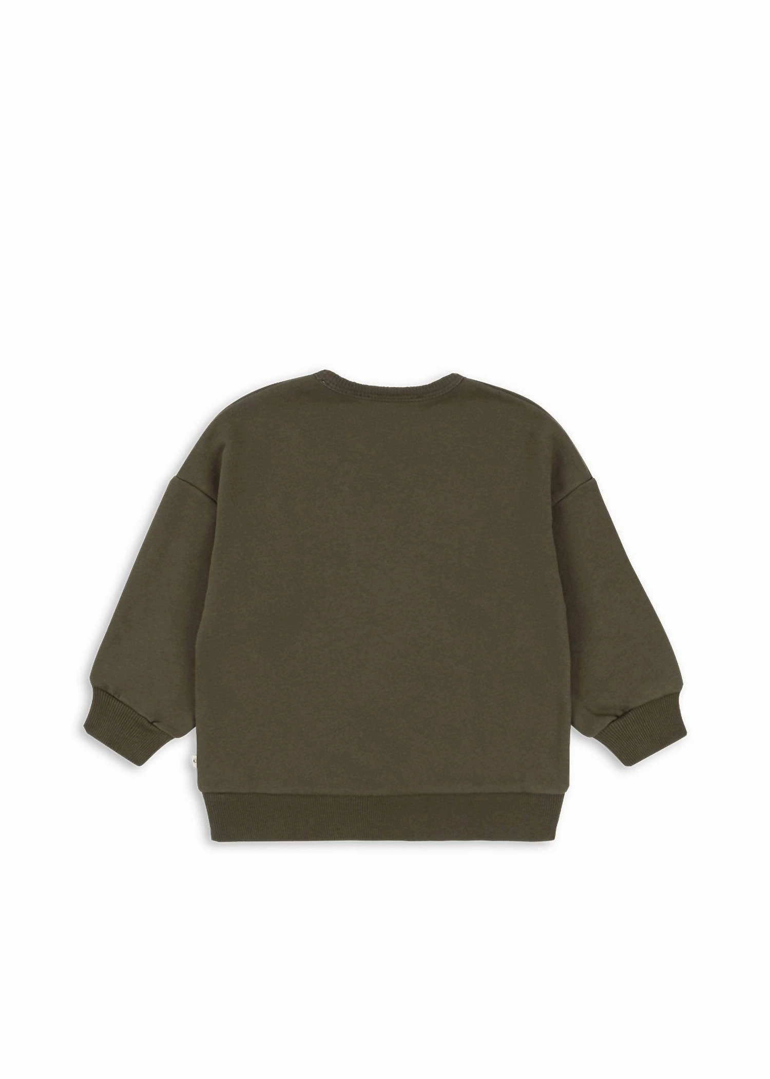 Boy's Lou Dino Sweatshirt In Green Boys Henley T Shirt