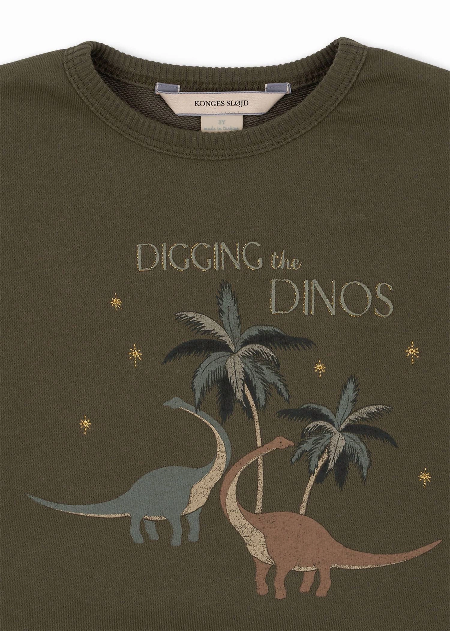 Boy's Lou Dino Sweatshirt In Green Boys Henley T Shirt