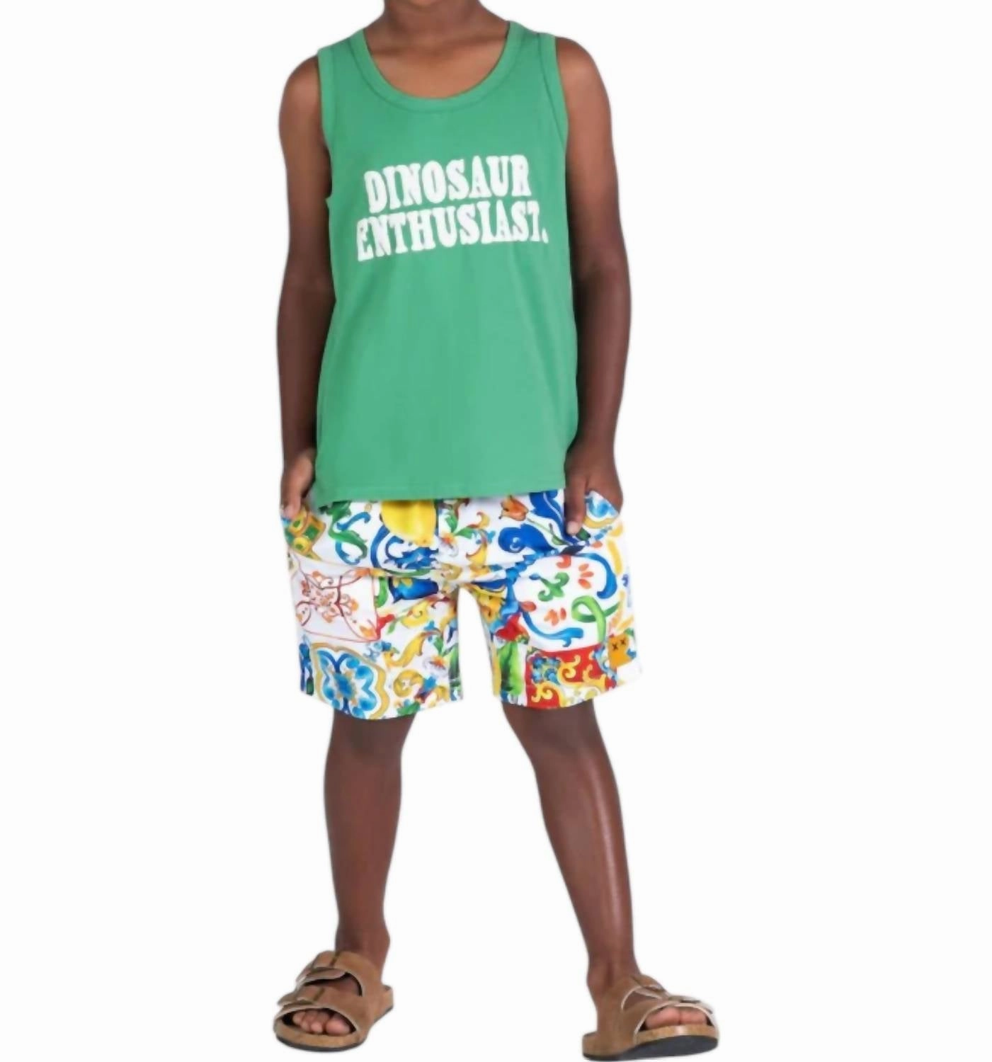 Boy's Sicily Boardshorts In Multi Color boys athletic shorts, cargo shorts boys