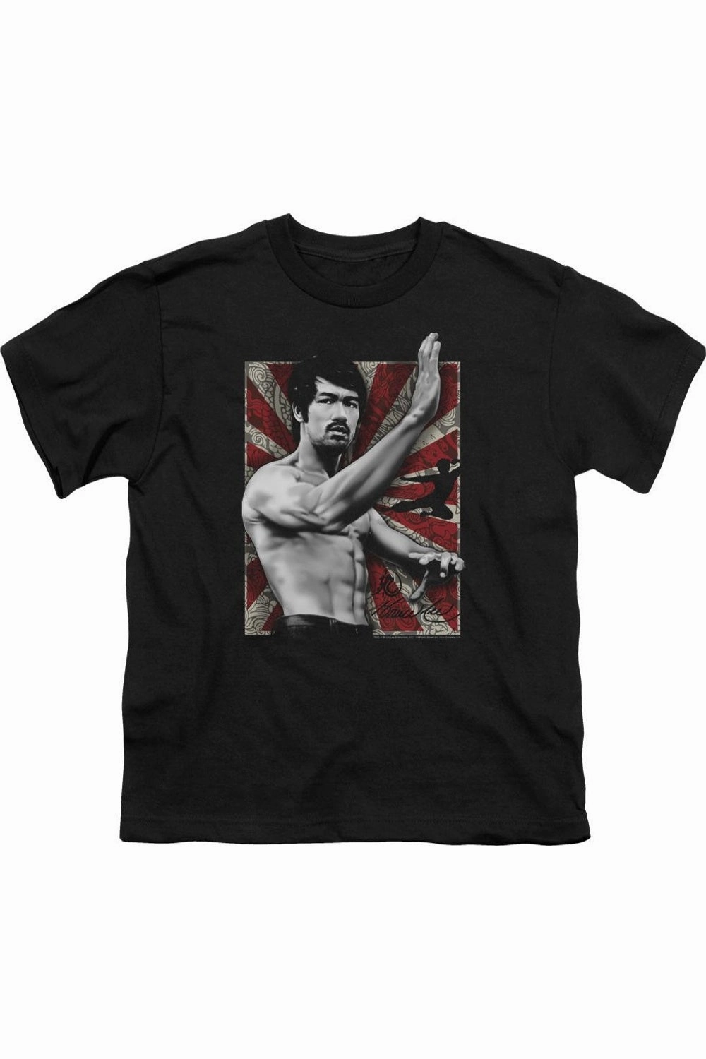 Bruce Lee Concentrate Short Sleeve Juvenile Tee / T-Shirt graphic tees for boys, polo shirts boys