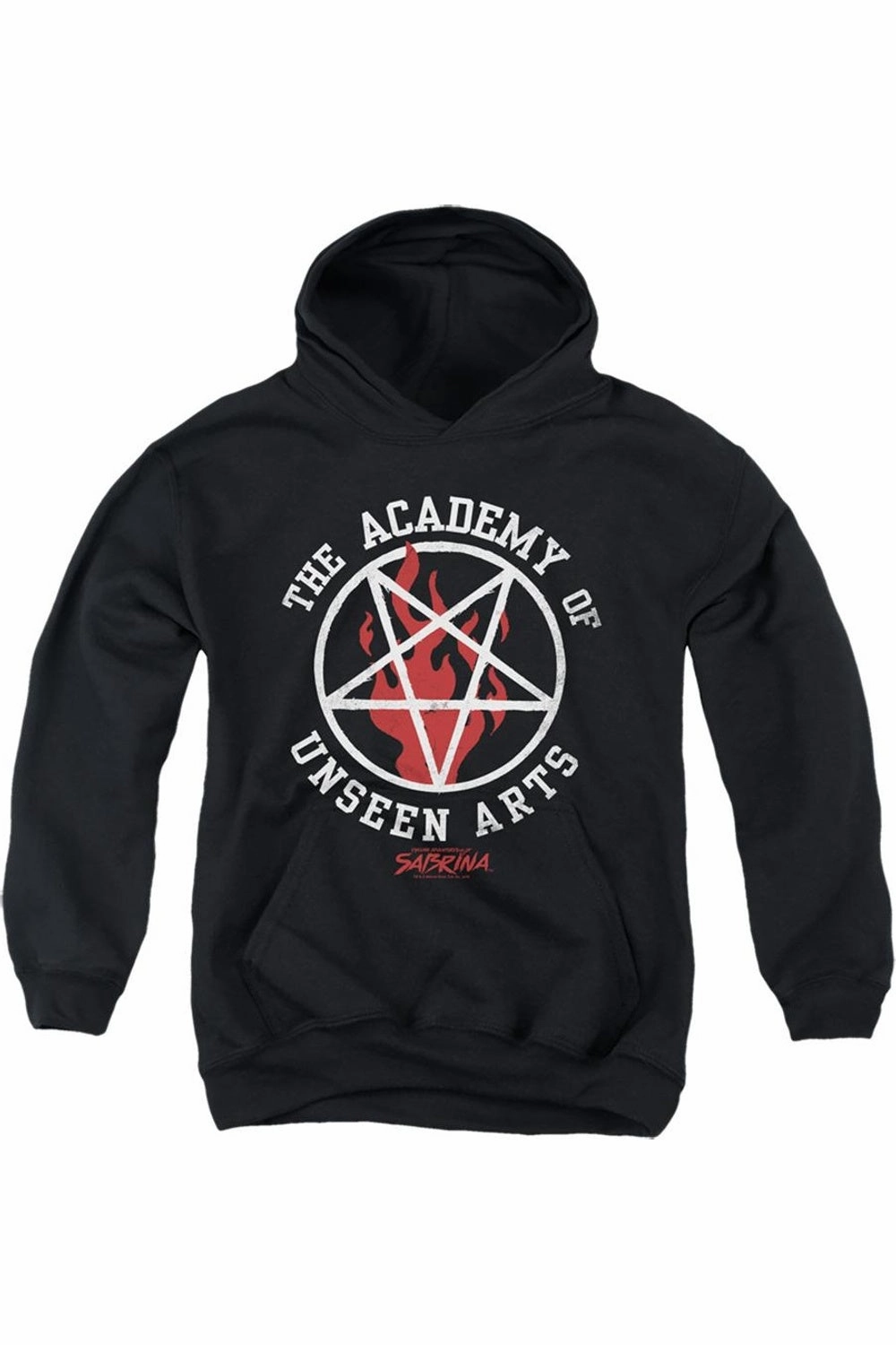 Chilling Adventures Of Sabrina Academy Of Unseen Arts Youth Pull Over Hoodie / Hooded Sweatshirt graphic tees for boys, polo shirts boys