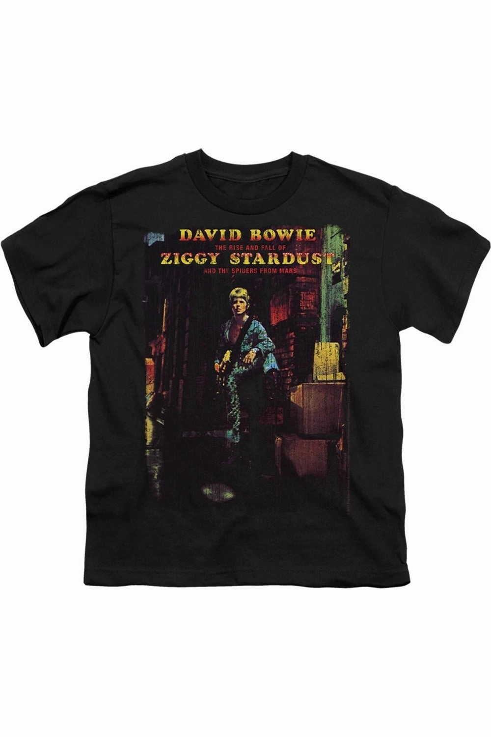 David Bowie Ziggy Stardust Album Short Sleeve Youth Tee / T-Shirt graphic tees for boys, polo shirts boys