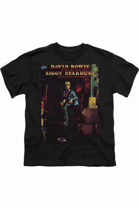 David Bowie Ziggy Stardust Album Short Sleeve Youth Tee / T-Shirt graphic tees for boys, polo shirts boys