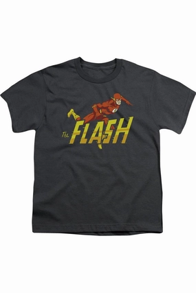 DC Comics Flash 8 Bit Flash Short Sleeve Youth Tee / T-Shirt graphic tees for boys, polo shirts boys