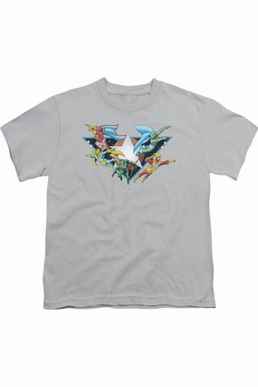 DC Comics Star Power Short Sleeve Youth Tee / T-Shirt graphic tees for boys, polo shirts boys
