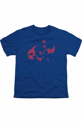 DC Comics Super Min Short Sleeve Youth Tee / T-Shirt graphic tees for boys, polo shirts boys