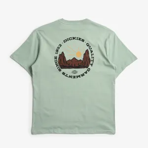 Dickies Menswear Dickies Outdoor T-Shirt