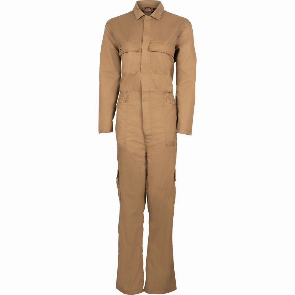 Dickies Everyday Coverall Women's Sneakers Casual Walking Shoes