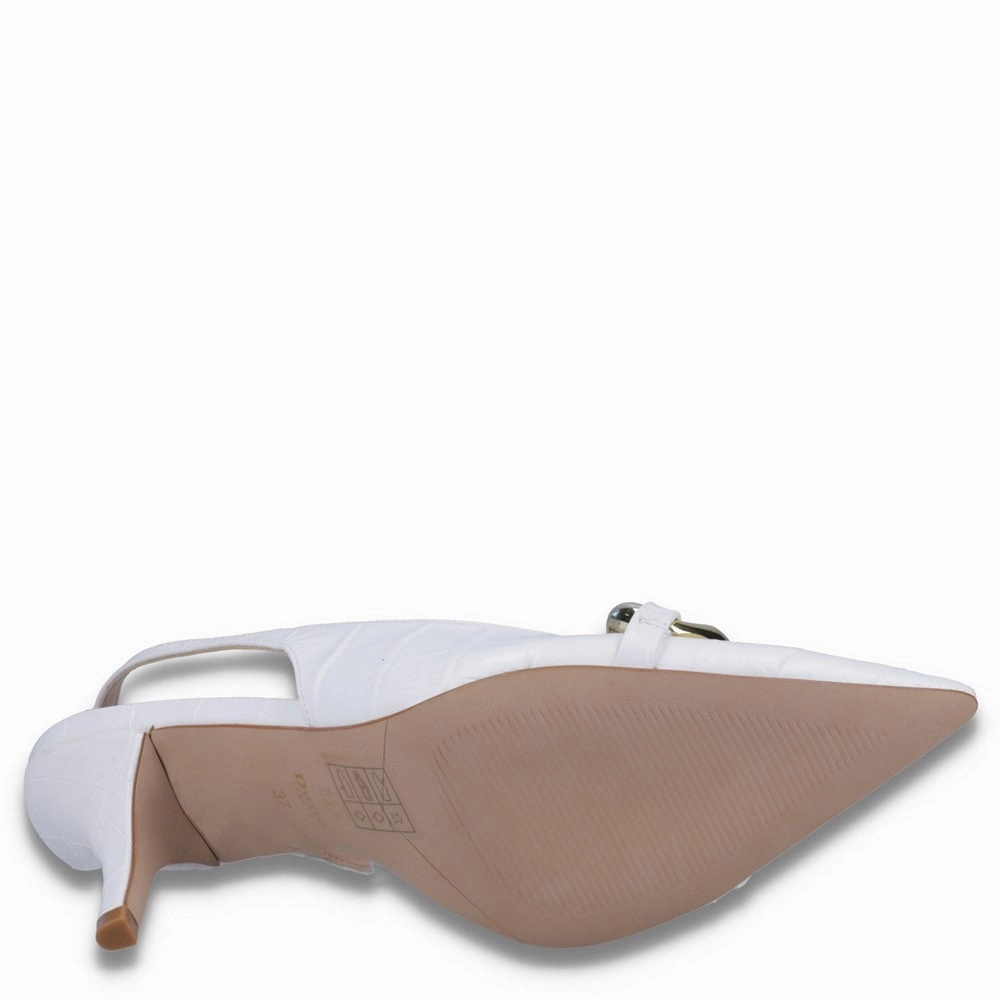 Dune Canary Shoes Women's Sneakers Casual Walking Shoes
