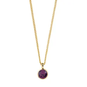 Dyrberg/Kern Jewellery Dyrberg/Kern Ette SG Purple Necklace
