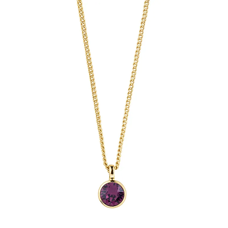 Dyrberg/Kern Jewellery Dyrberg/Kern Ette SG Purple Necklace