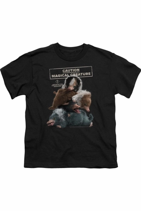 Fantastic Beasts 2 Cuddle Puddle Short Sleeve Youth Tee / T-Shirt graphic tees for boys, polo shirts boys