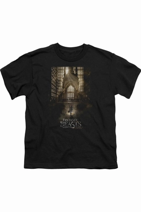 Fantastic Beasts Poster Short Sleeve Juvenile Tee / T-Shirt graphic tees for boys, polo shirts boys