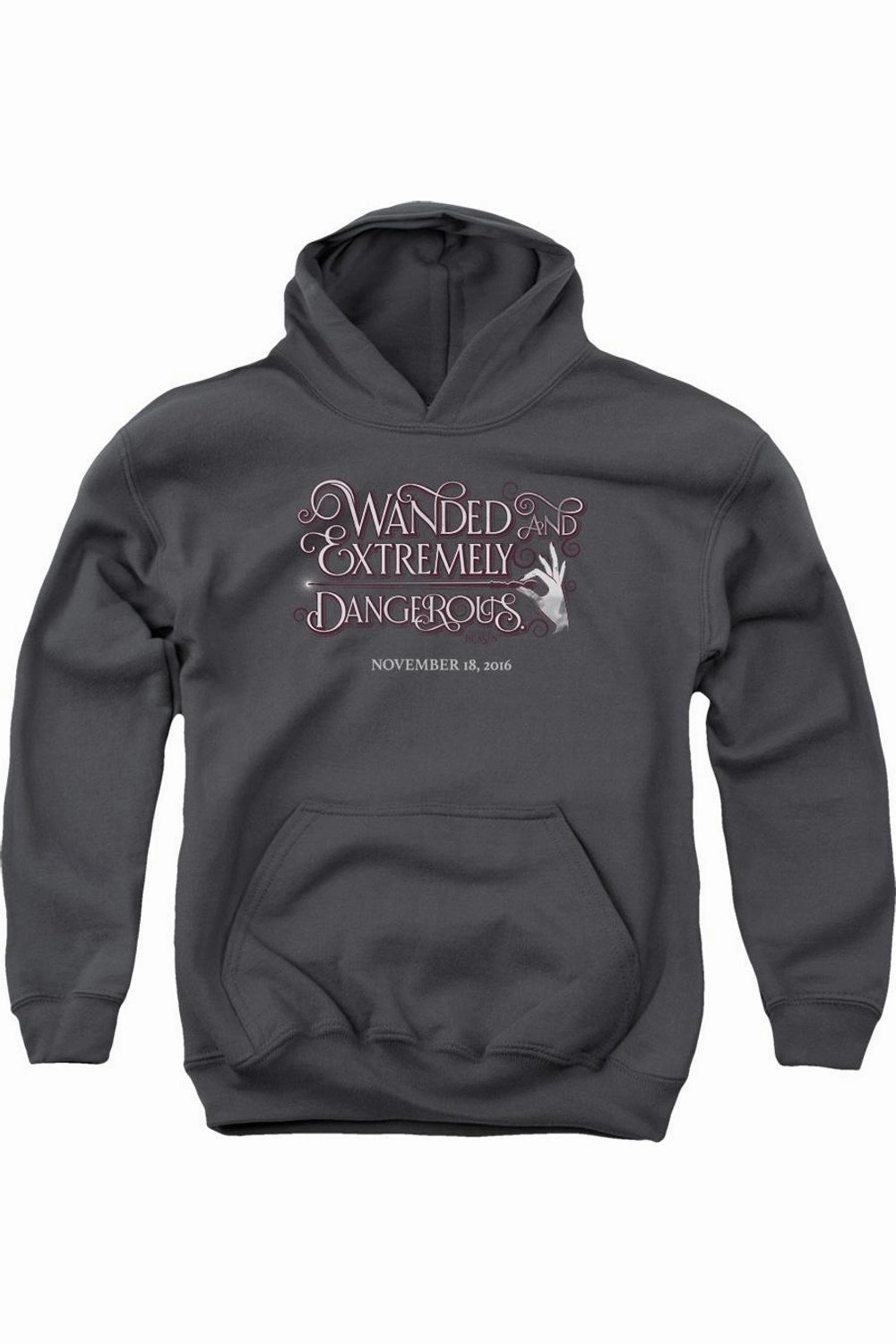 Fantastic Beasts Wanded Youth Pull Over Hoodie / Hooded Sweatshirt graphic tees for boys, polo shirts boys