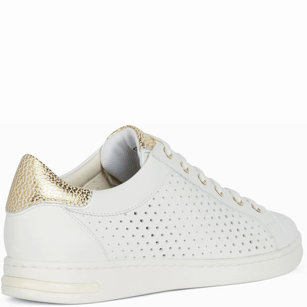 Geox D Jaysen B Sneakers Women's Sneakers Casual Walking Shoes