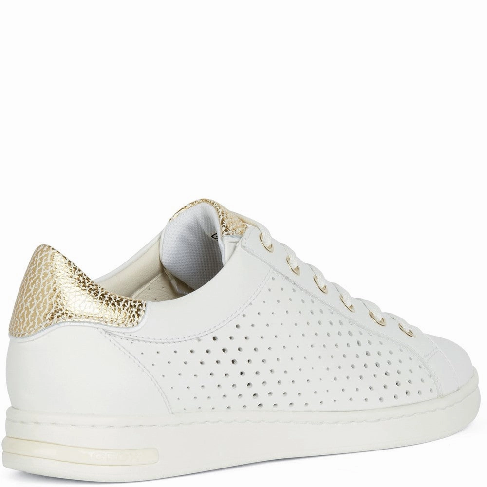 Geox D Jaysen B Sneakers Women's Sneakers Casual Walking Shoes