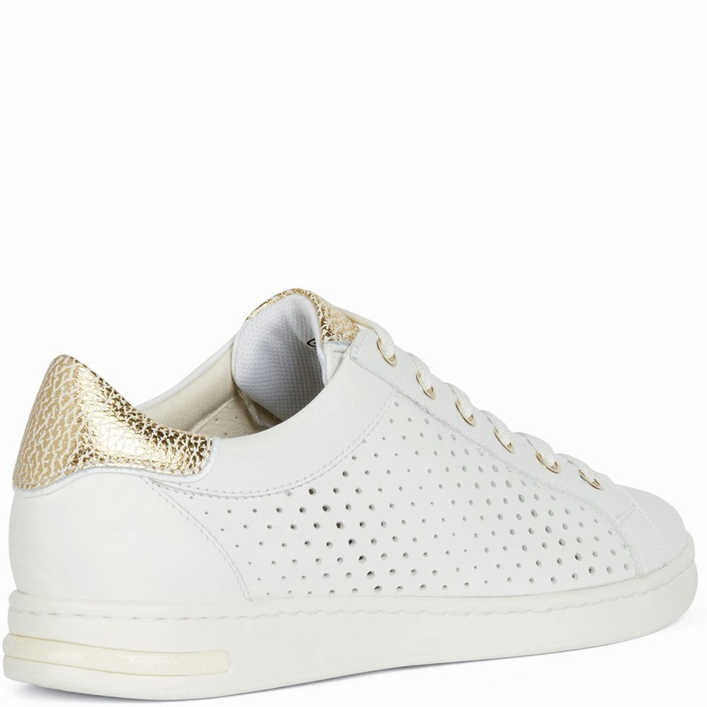 Geox D Jaysen B Sneakers Women's Sneakers Casual Walking Shoes