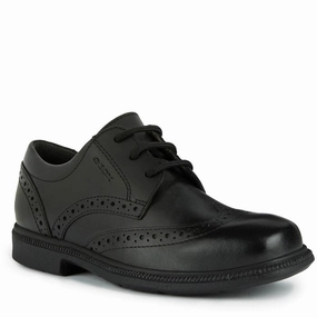 Geox Federico Senior School Shoes Kids Athletic Shoes,Toddler Sports Shoes,Youth Casual Shoes