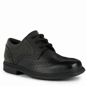 Geox Federico Senior School Shoes Kids Athletic Shoes,Toddler Sports Shoes,Youth Casual Shoes