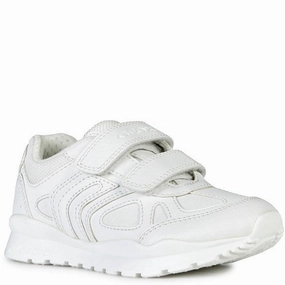 Geox Pavel Junior School Shoes Kids Tennis Shoes,Toddler Athletic Shoes,Youth Casual Shoes