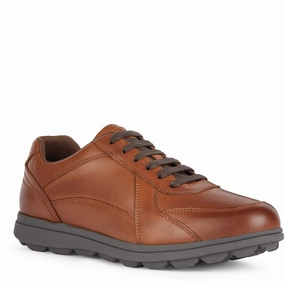 Geox U Spherica EC12 Shoes Basketball Shoes, Running Shoes