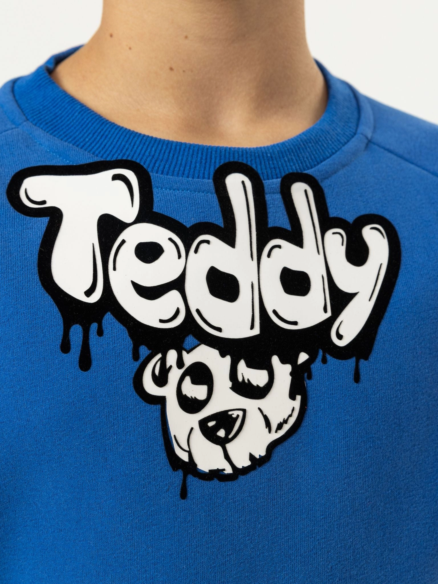 GRAPHIC TEDDY FASHION SWEATSHIRT boys cable knit, zip up knitwear boys