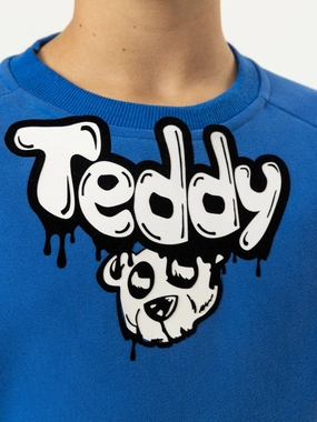 GRAPHIC TEDDY FASHION SWEATSHIRT boys cable knit, zip up knitwear boys