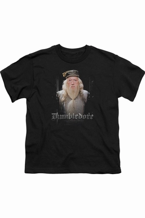 Harry Potter Dumble Doors Short Sleeve Juvenile Tee / T-Shirt graphic tees for boys, polo shirts boys
