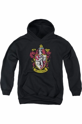 Harry Potter Gryffindor Crest Youth Pull Over Hoodie / Hooded Sweatshirt graphic tees for boys, polo shirts boys