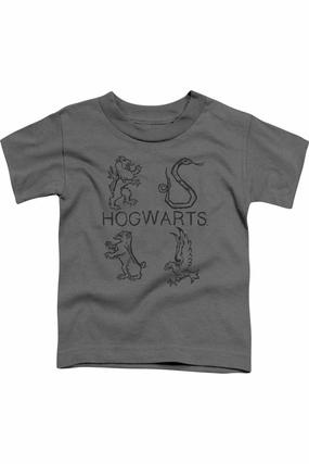 Harry Potter Literary Crests Short Sleeve Juvenile Tee / T-Shirt graphic tees for boys, polo shirts boys