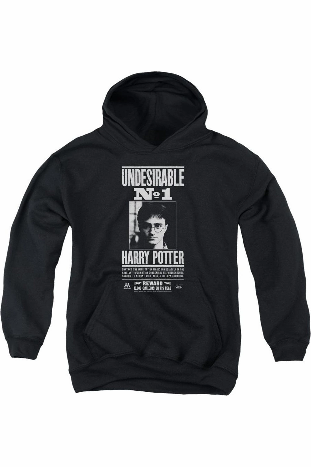 Harry Potter Undesirable No 1 Youth Pull Over Hoodie / Hooded Sweatshirt graphic tees for boys, polo shirts boys