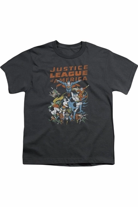 Justice League of America Big Group Short Sleeve Youth Tee / T-Shirt graphic tees for boys, polo shirts boys