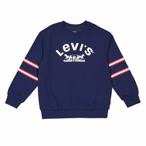 Levi's Boys Double Knit Logo Sweatshirt boys cable knit, zip up knitwear boys