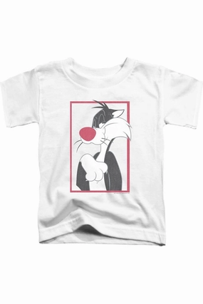 Looney Tunes Sylvester Short Sleeve Juvenile Tee / T-Shirt graphic tees for boys, polo shirts boys