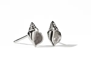 Meadowlark Jewellery Meadowlark - Conch Stud Earrings Silver