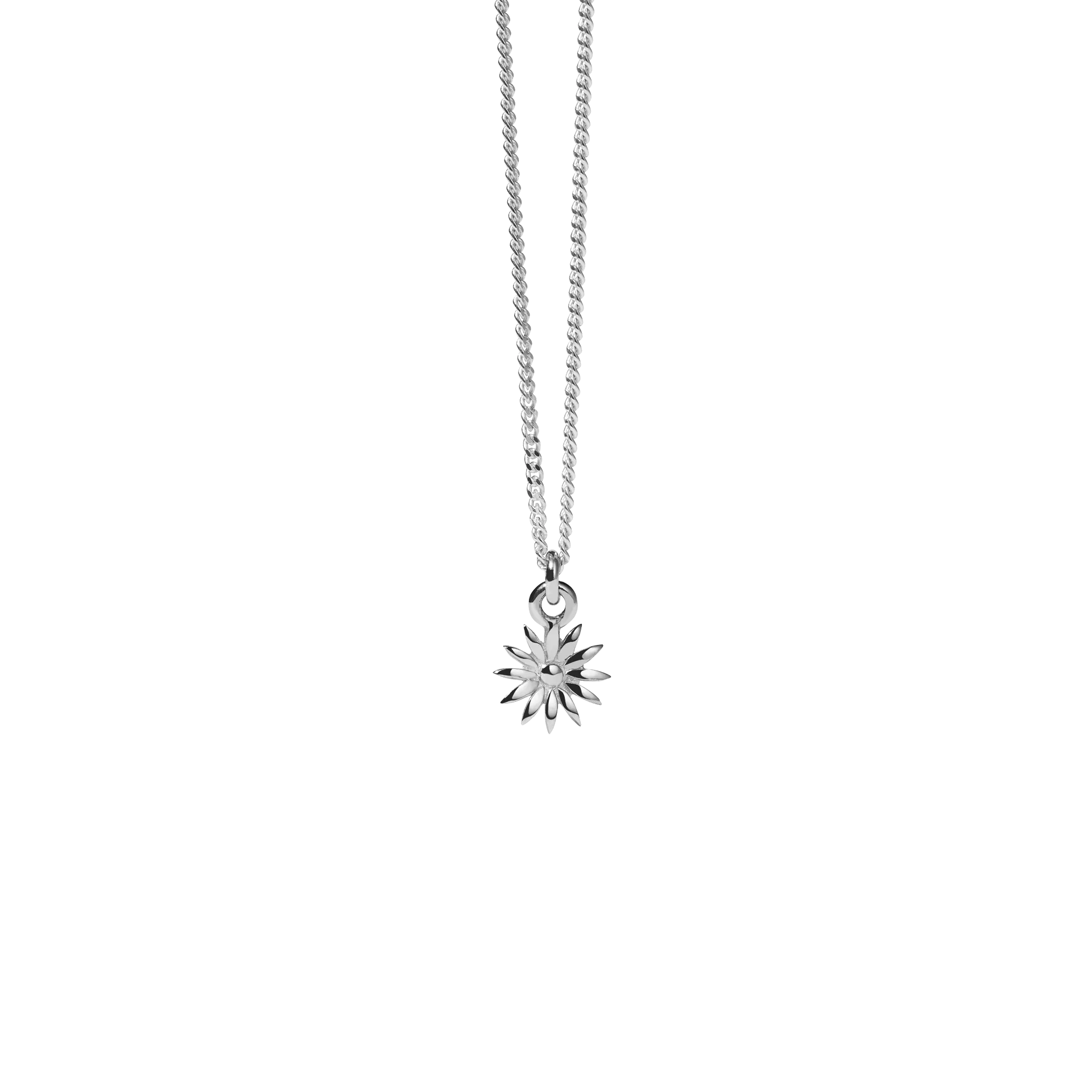 Meadowlark Jewellery Meadowlark Dazed Charm Necklace - Sterling Silver