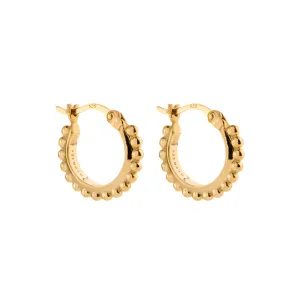 Najo Jewellery Najo - Chia Hoop Earrings Gold Plated