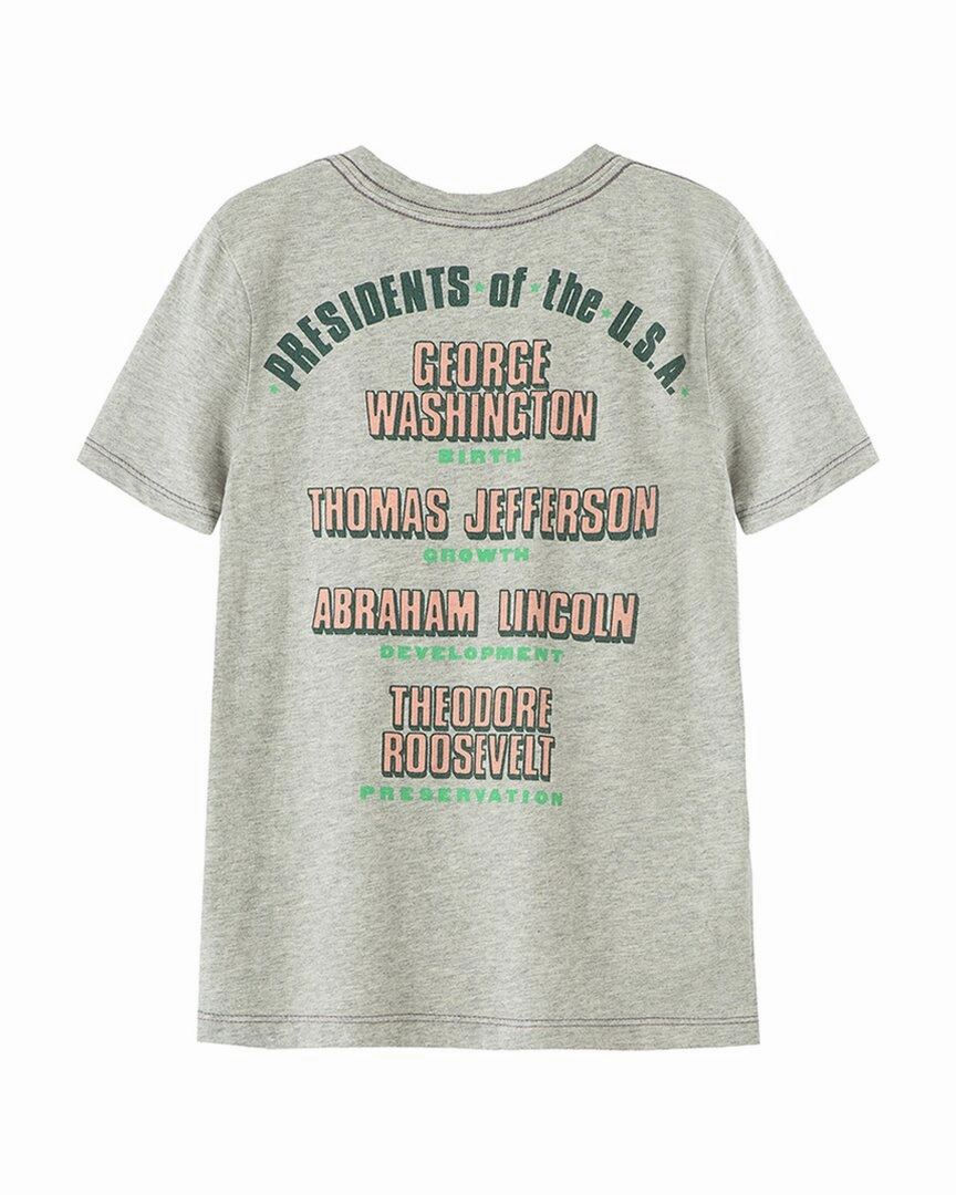 Peek Kids Hudson Mt. Rushmore T-Shirt Girls Tunic Top